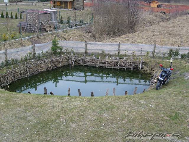 Photo 558569