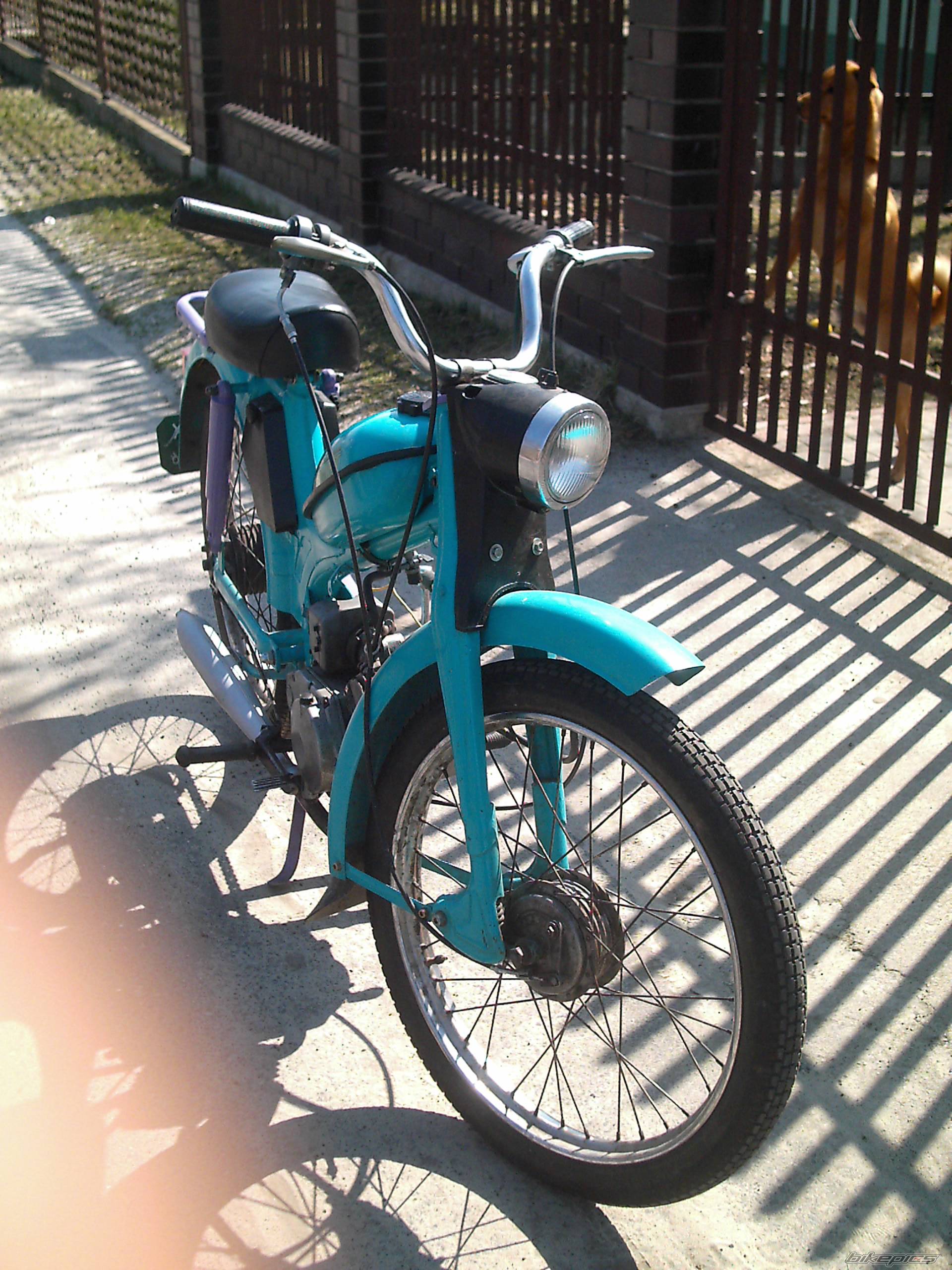 Photo 558768
