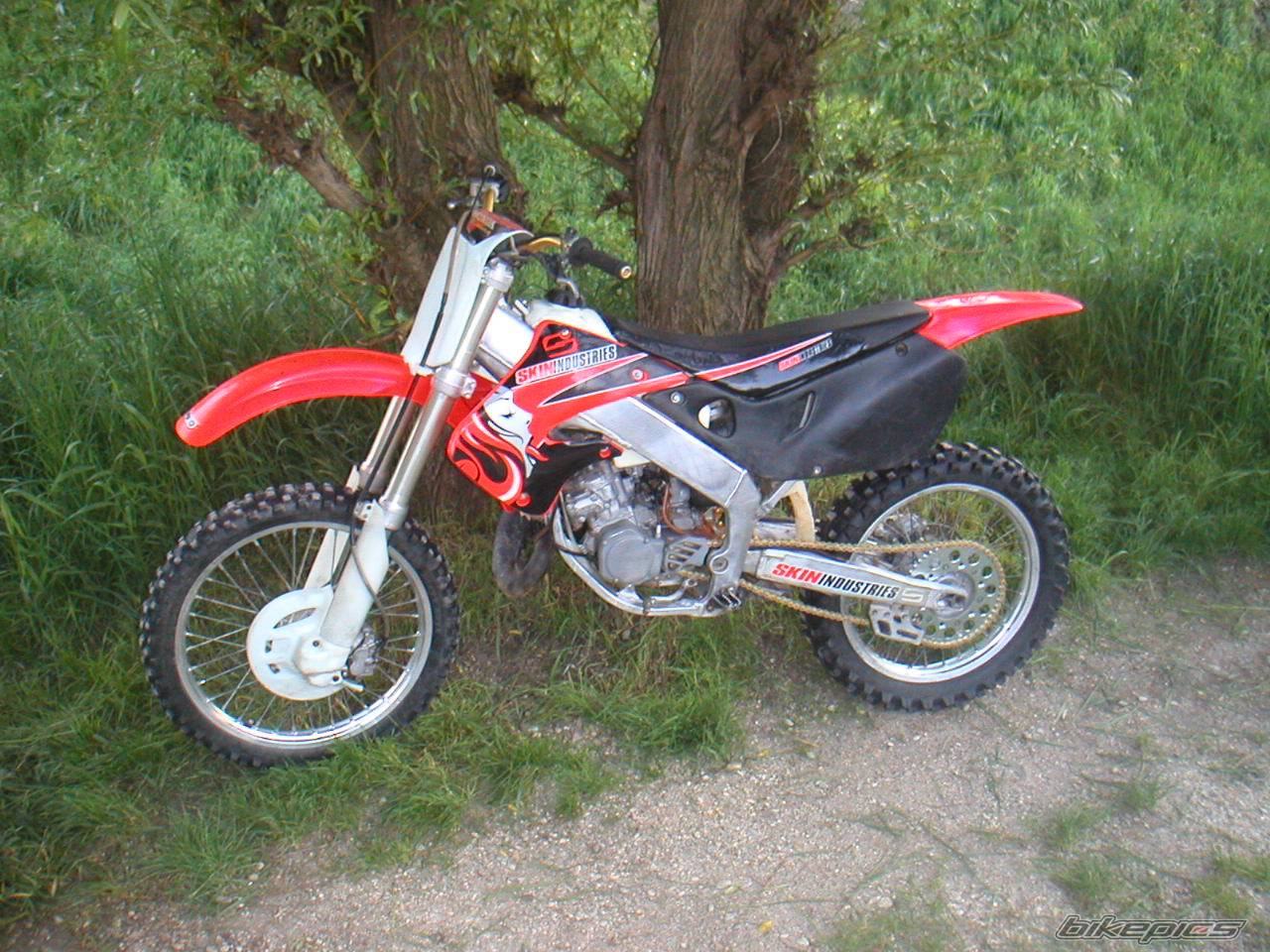 Bike Photo 558790