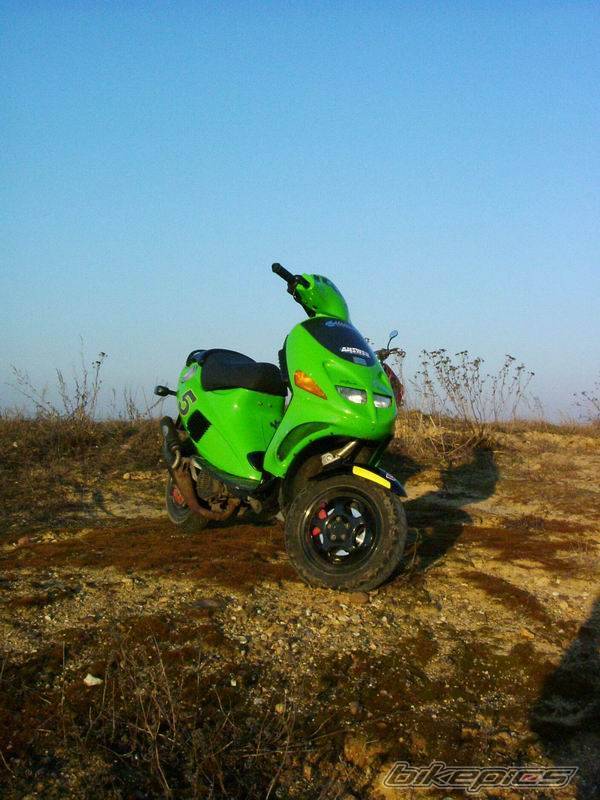 Photo 558867