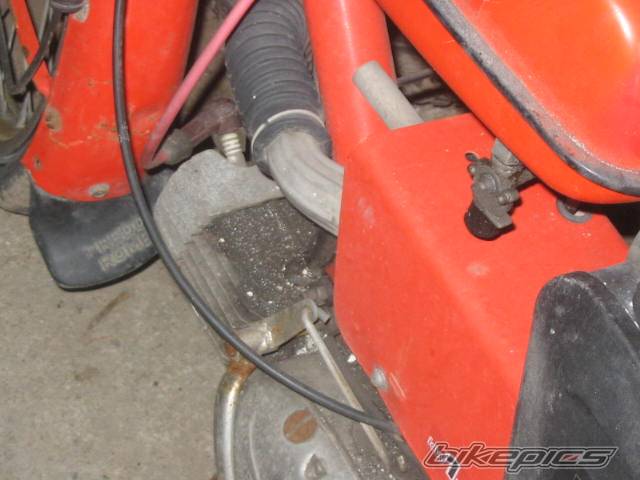 Bike Photo 559281