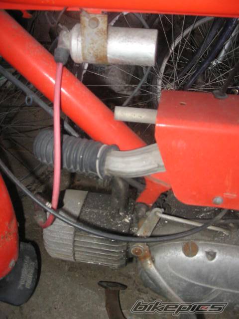 Bike Photo 559289