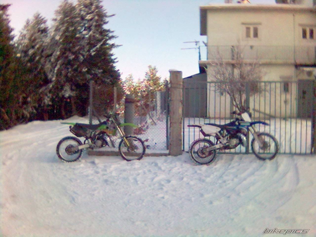 Photo 559412