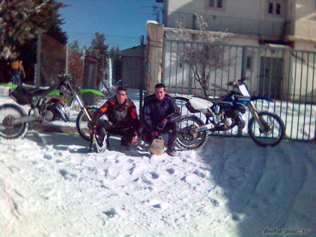 Photo 559414