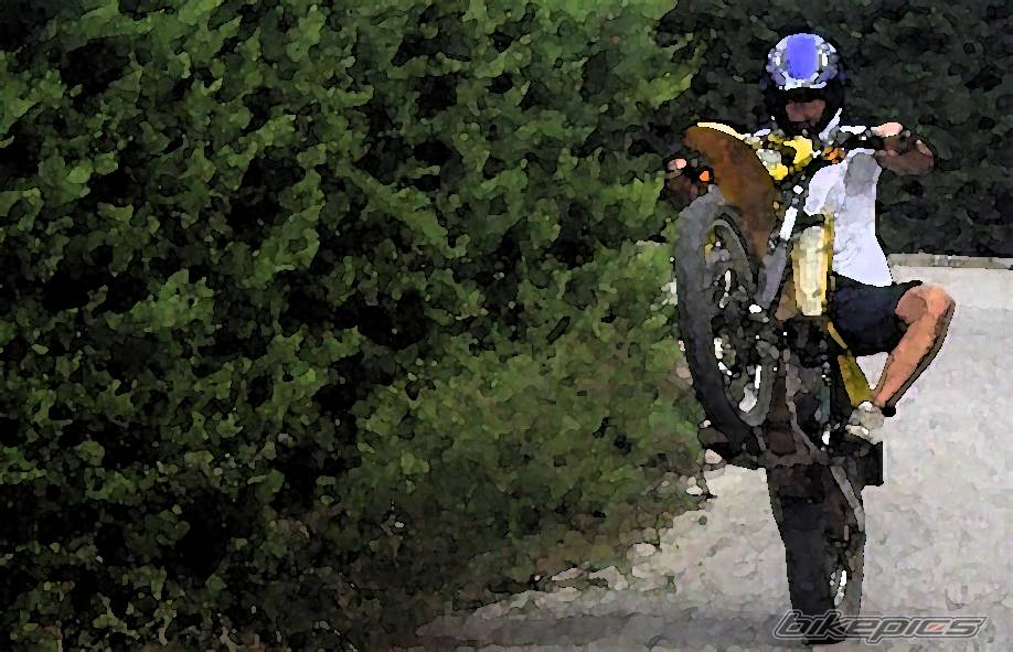 Bike Photo 559441