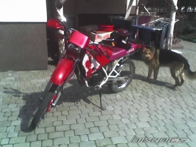 Bike Photo 559600
