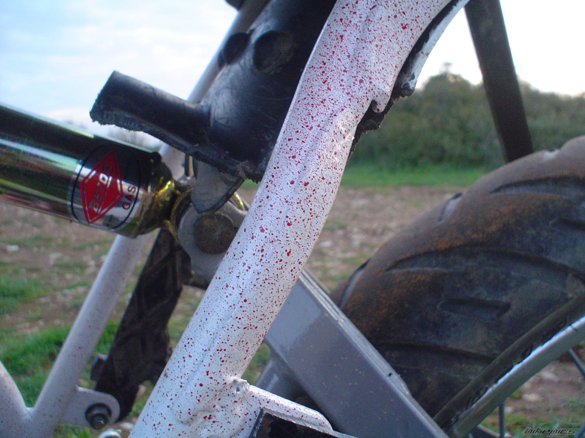 Bike Photo 559640