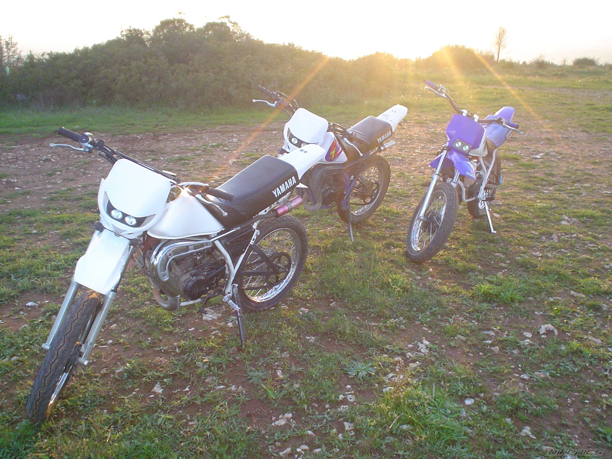 Photo 559657