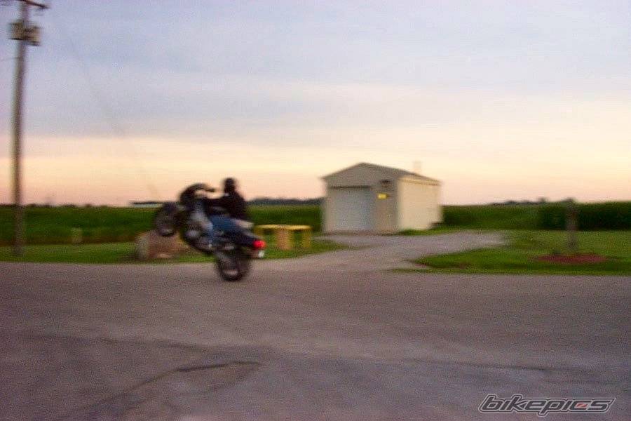 Photo 55968