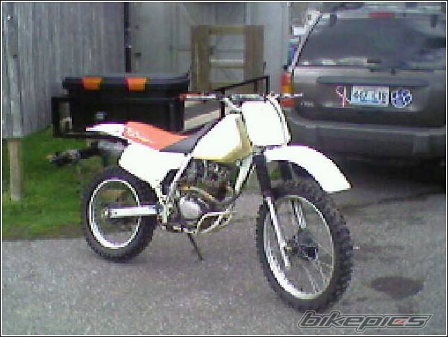 Bike Photo 559822