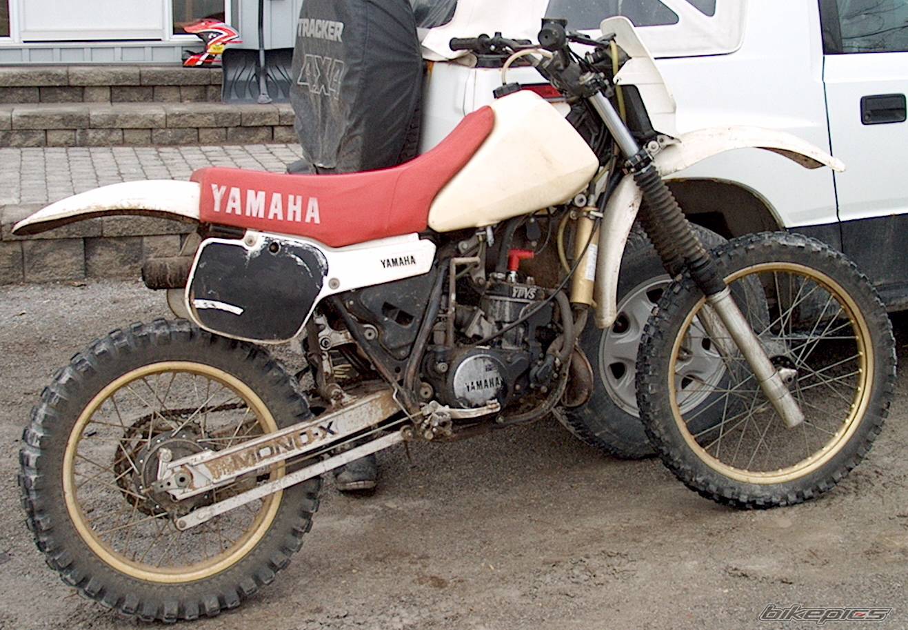 Bike Photo 559835