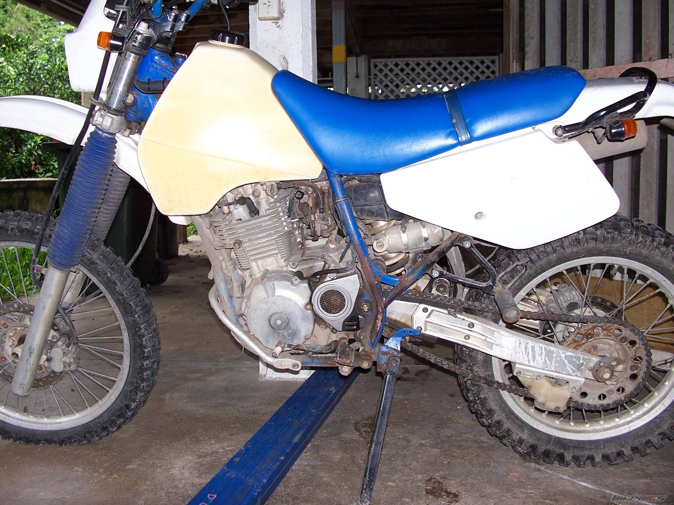 Bike Photo 559855