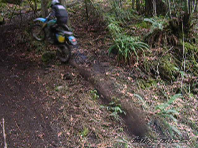 Photo 559955