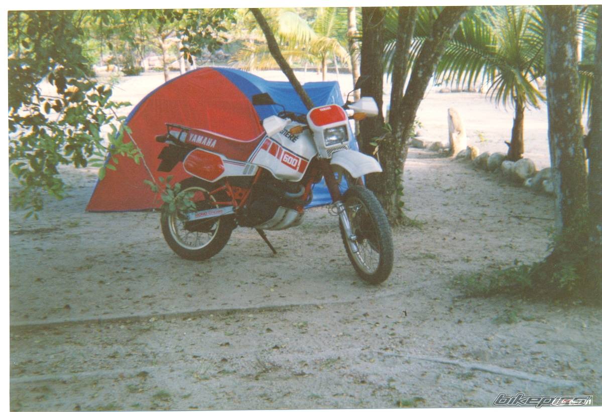 Bike Photo 560064