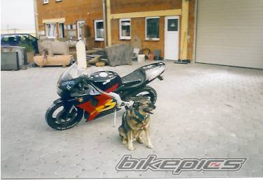 Bike Photo 56008