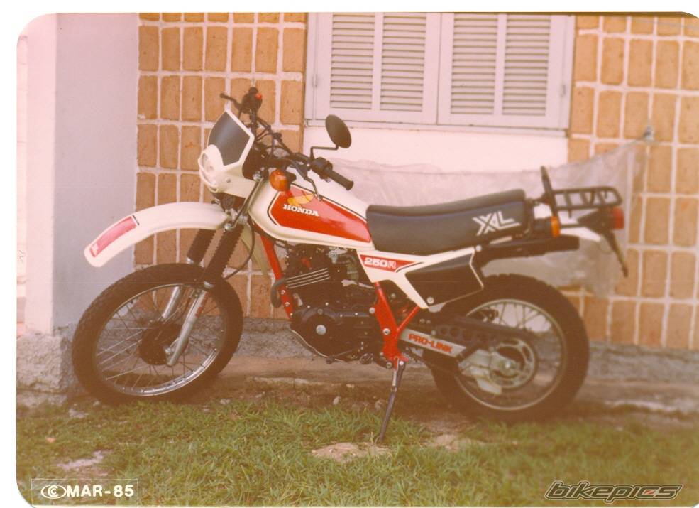 Bike Photo 560081