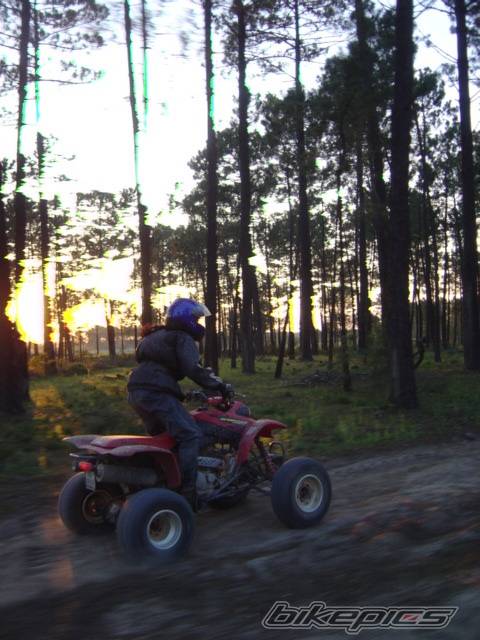 Photo 560251