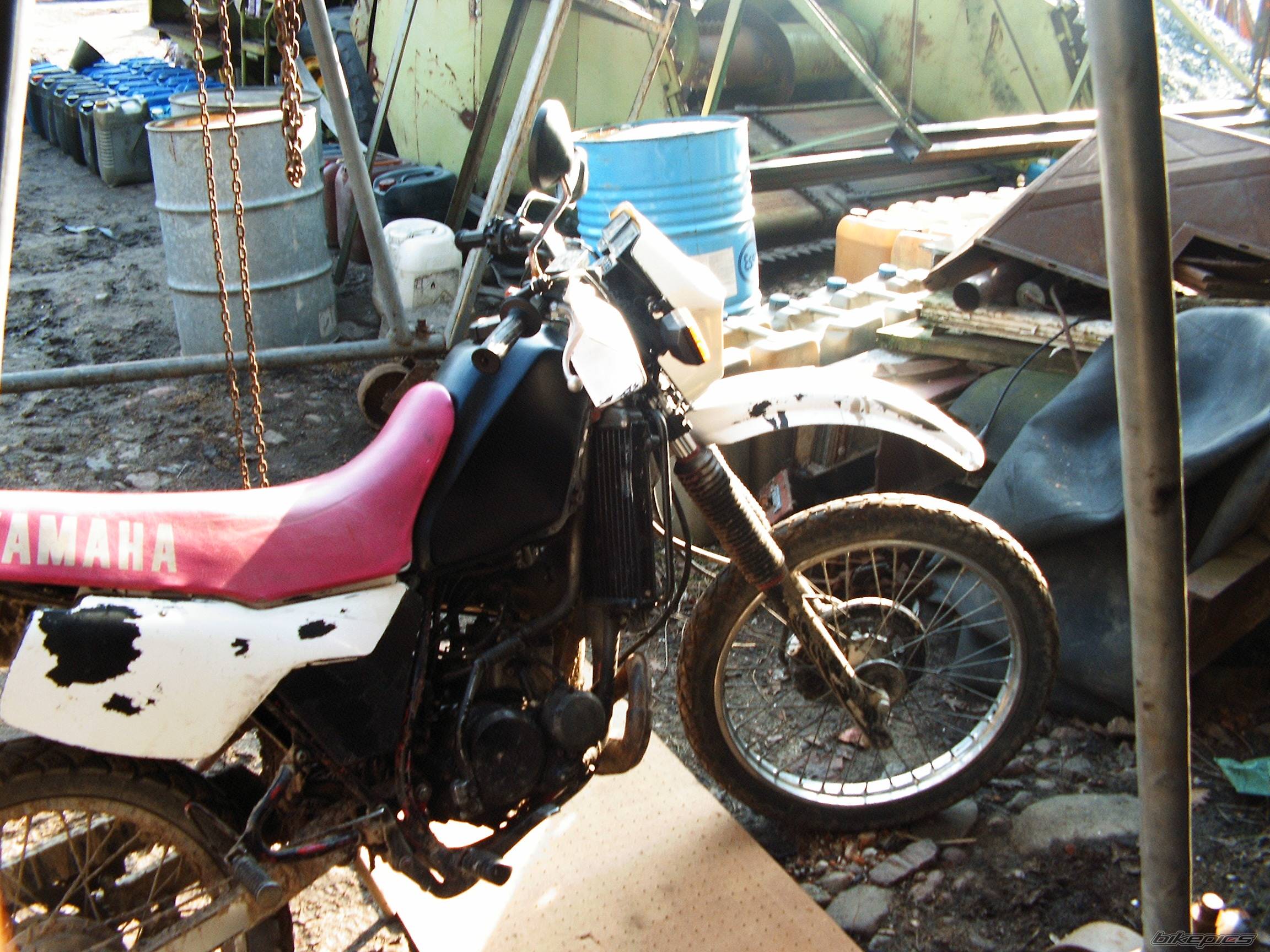 Bike Photo 560323