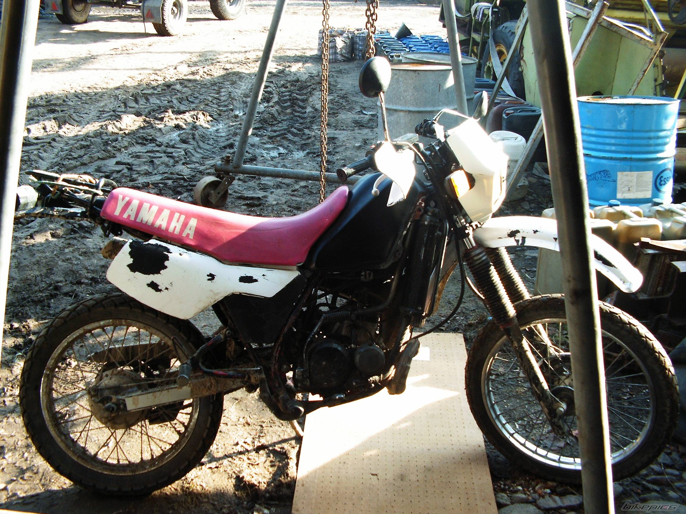 Bike Photo 560325