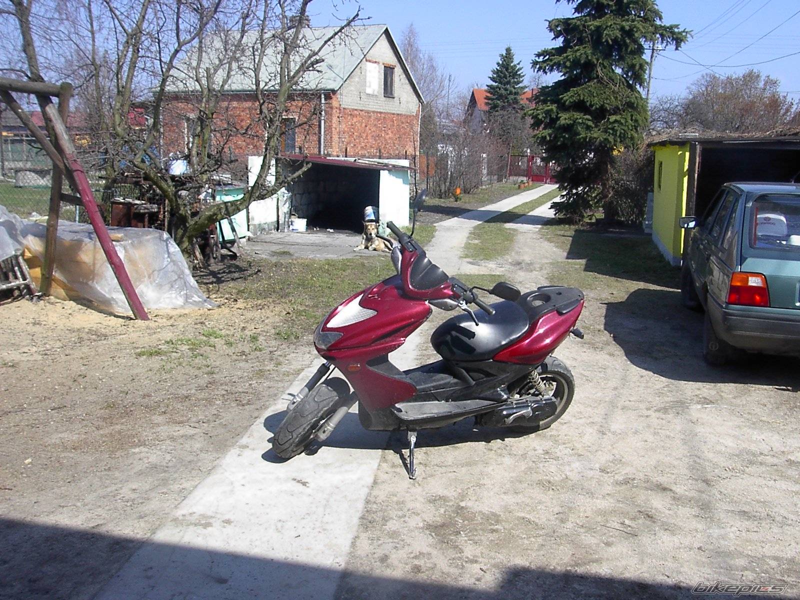 Photo 560480