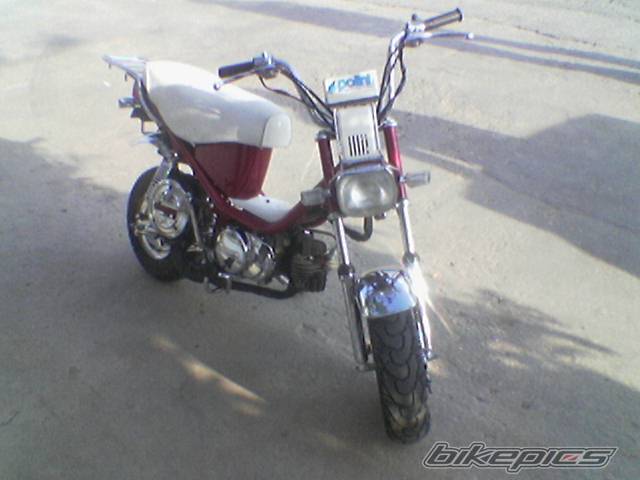 Bike Photo 560502