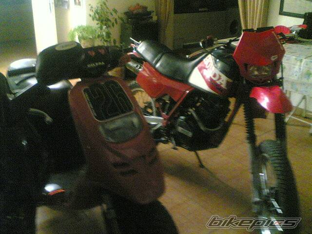 Bike Photo 560853