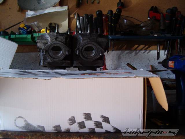 Photo 561452