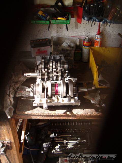 Photo 561456