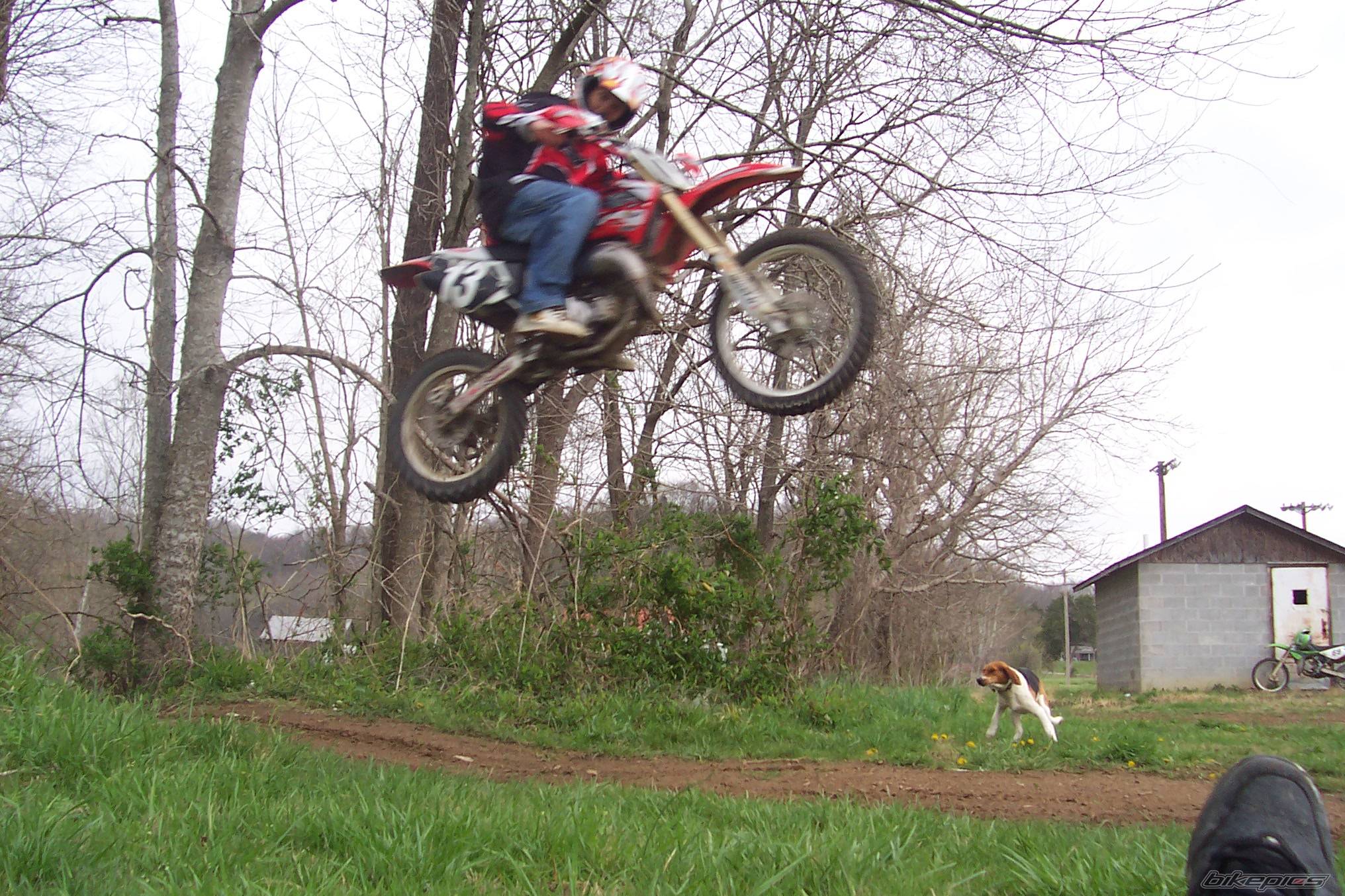 Bike Photo 561486