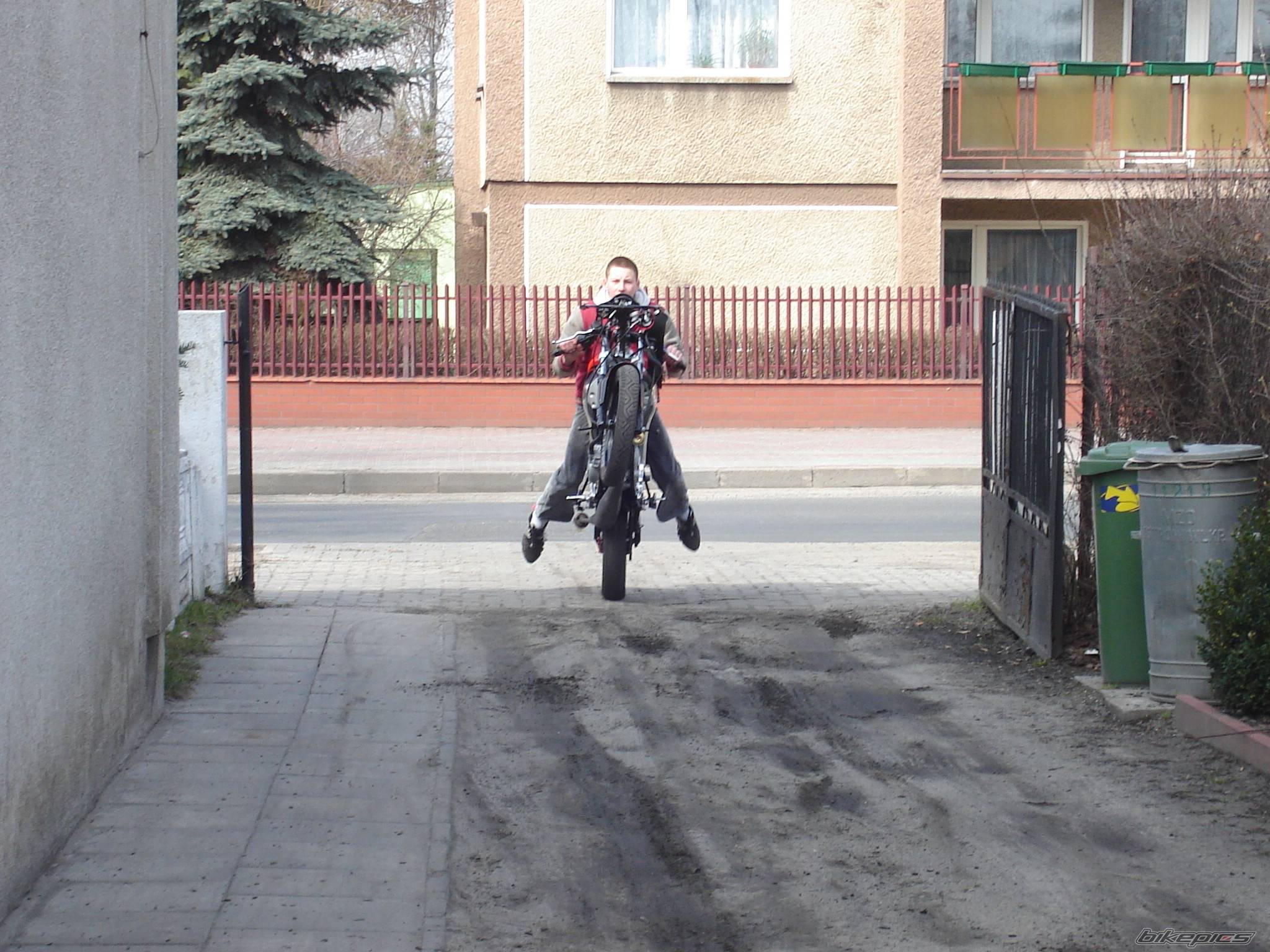 Photo 561712