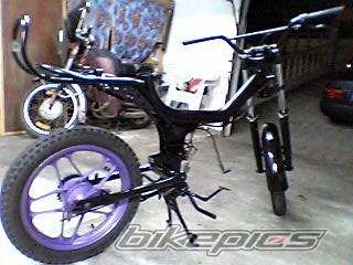 Photo 561754