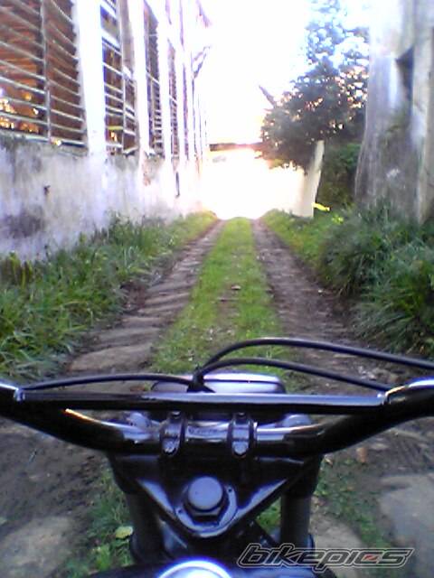Photo 561773