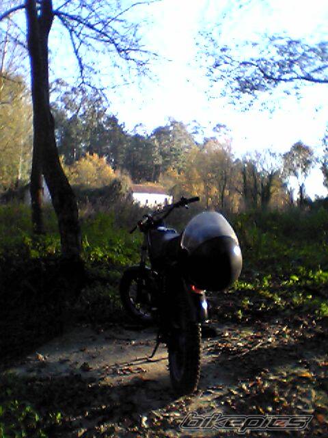 Photo 561781