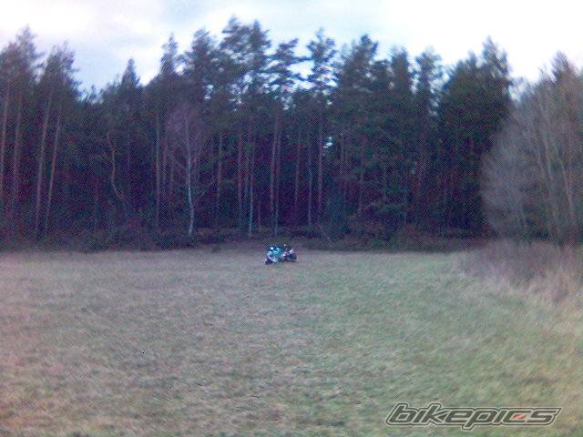 Photo 561937