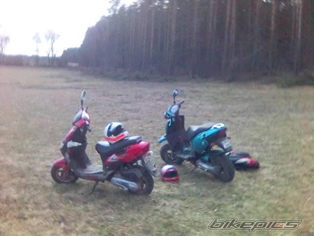 Photo 561939