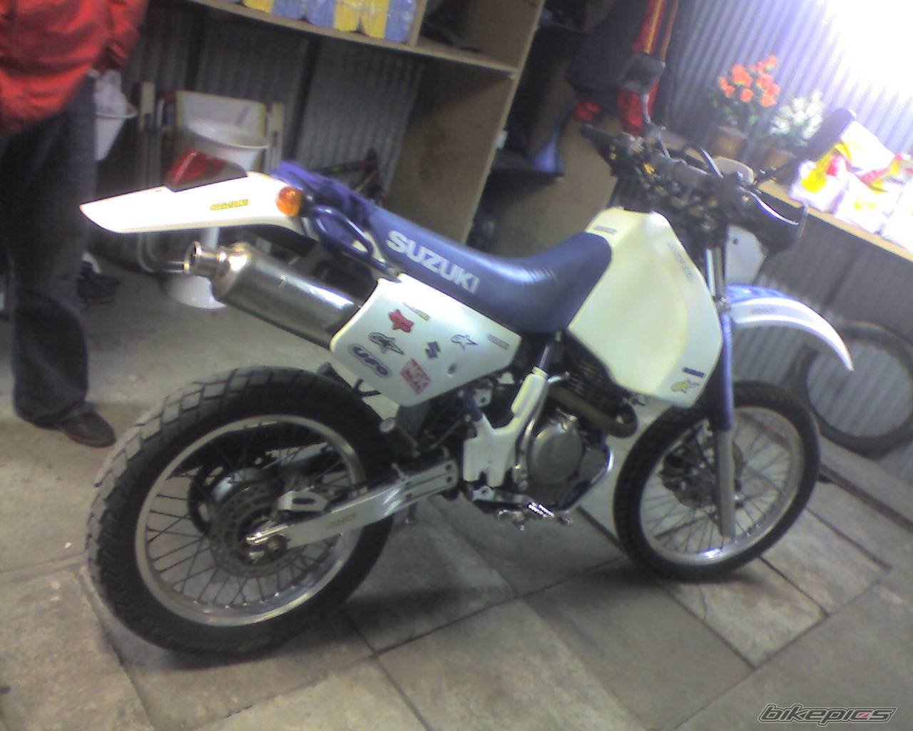 Bike Photo 561945