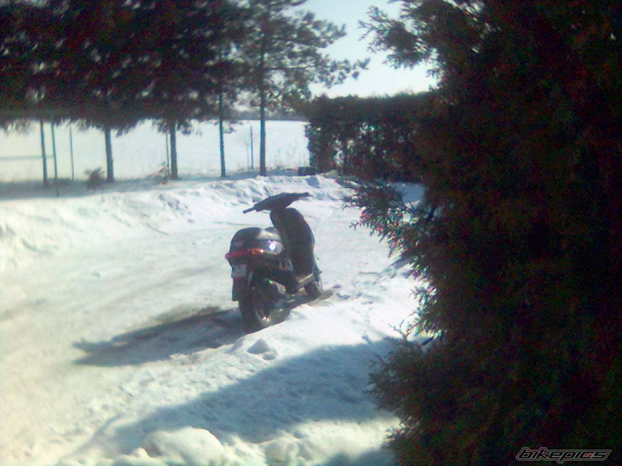 Photo 562420