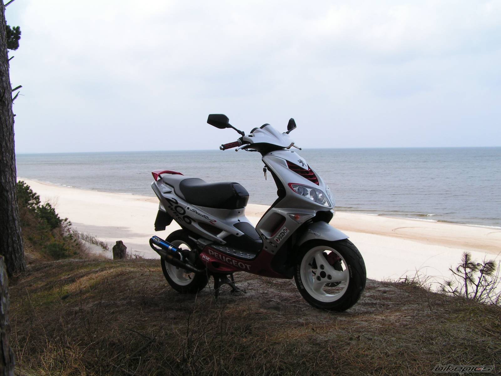 Bike Photo 562592
