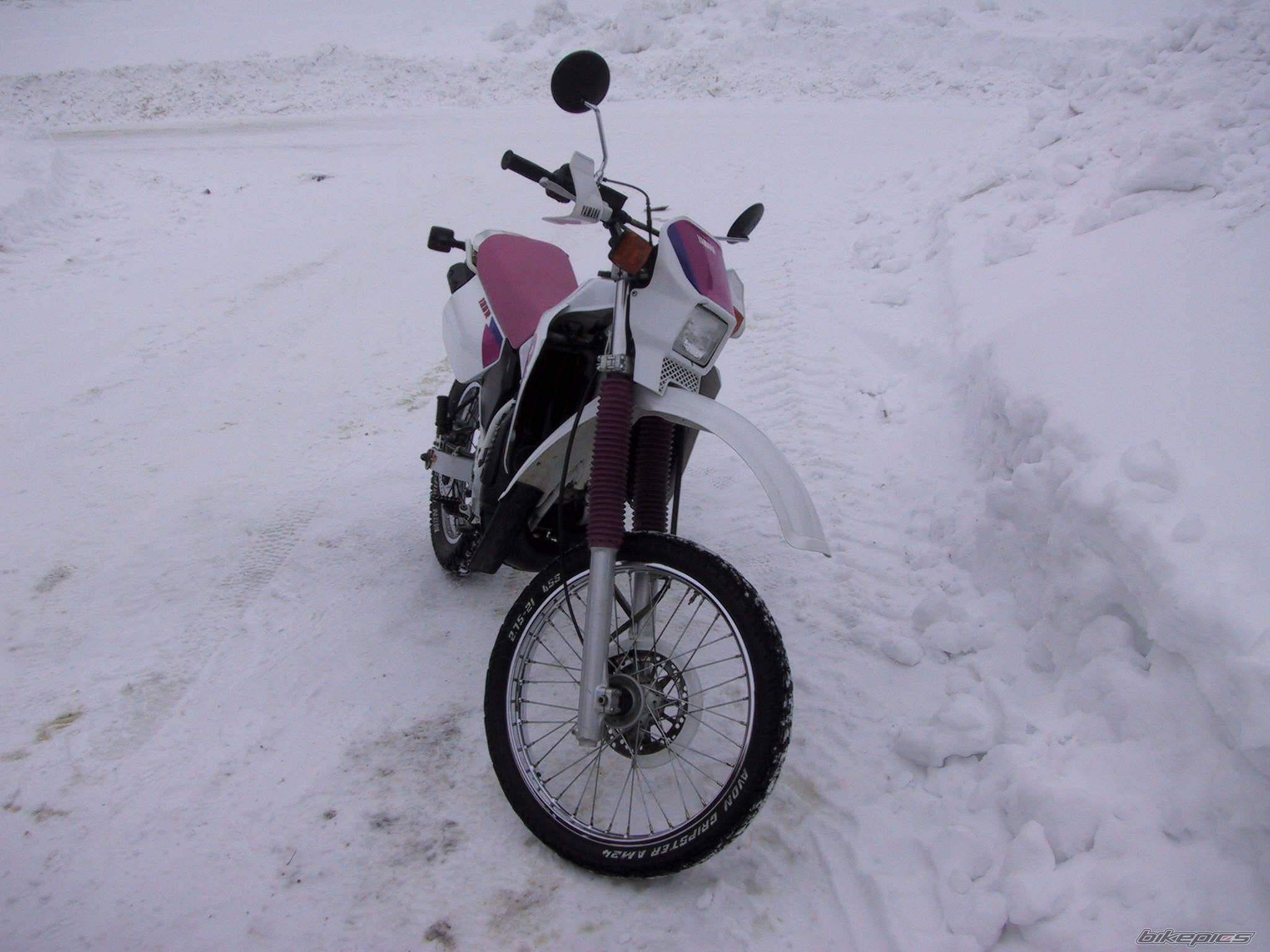 Photo 56301