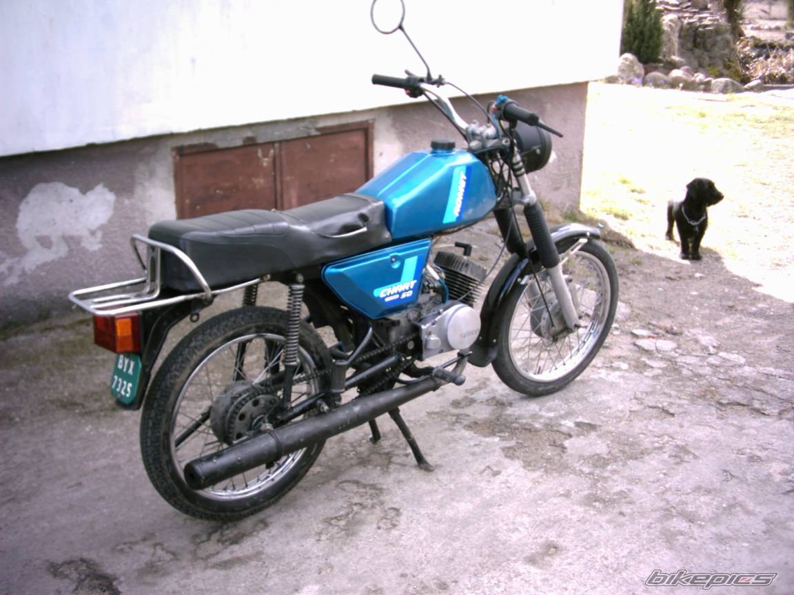 Photo 563354