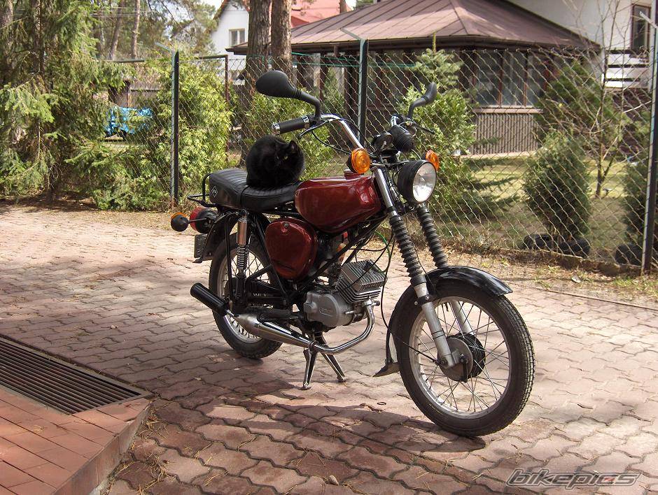 Bike Photo 563385