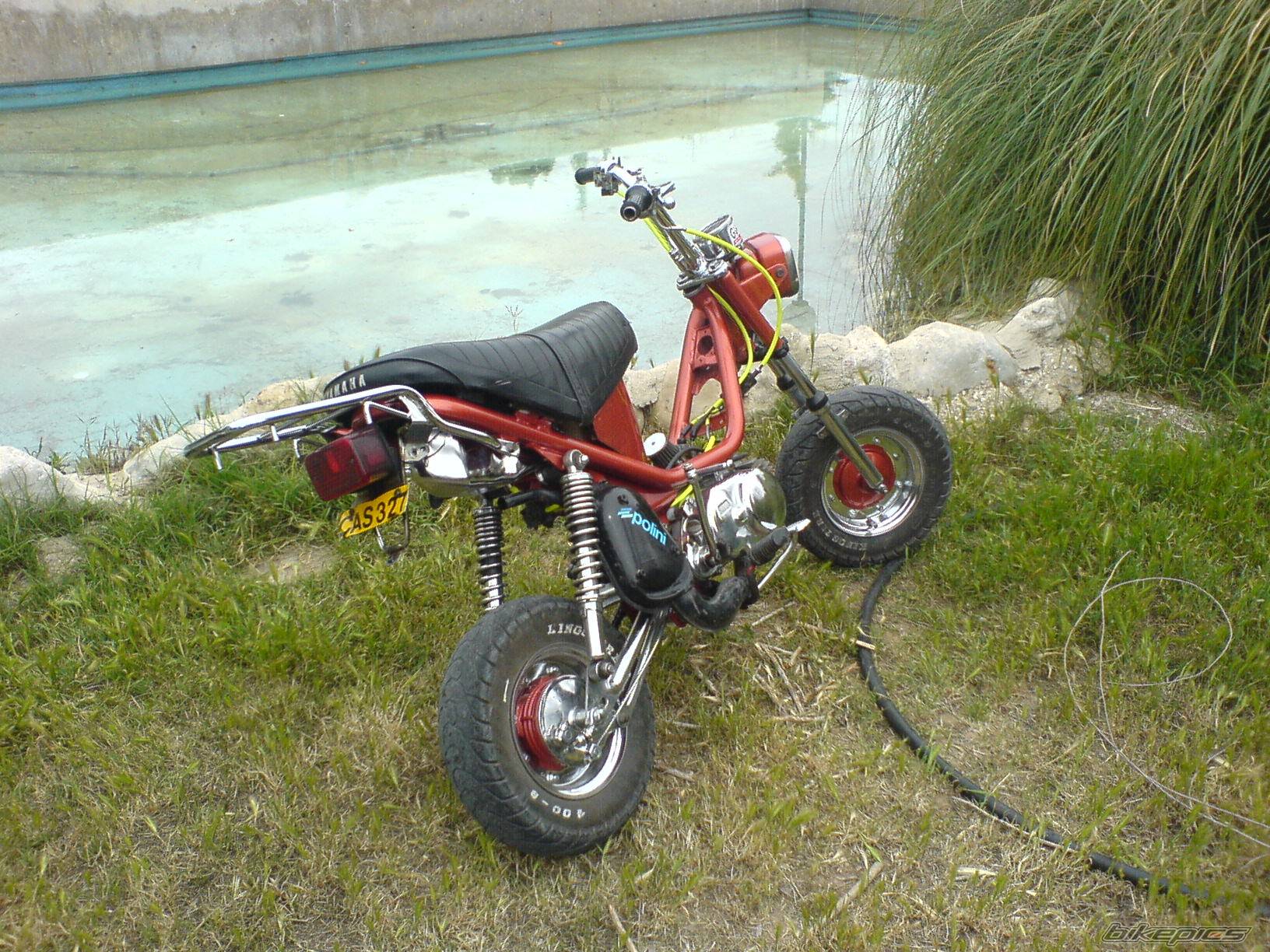 Photo 563429