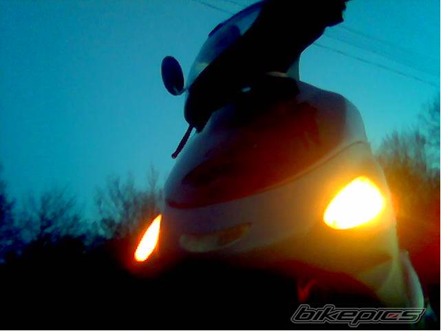 Photo 564019