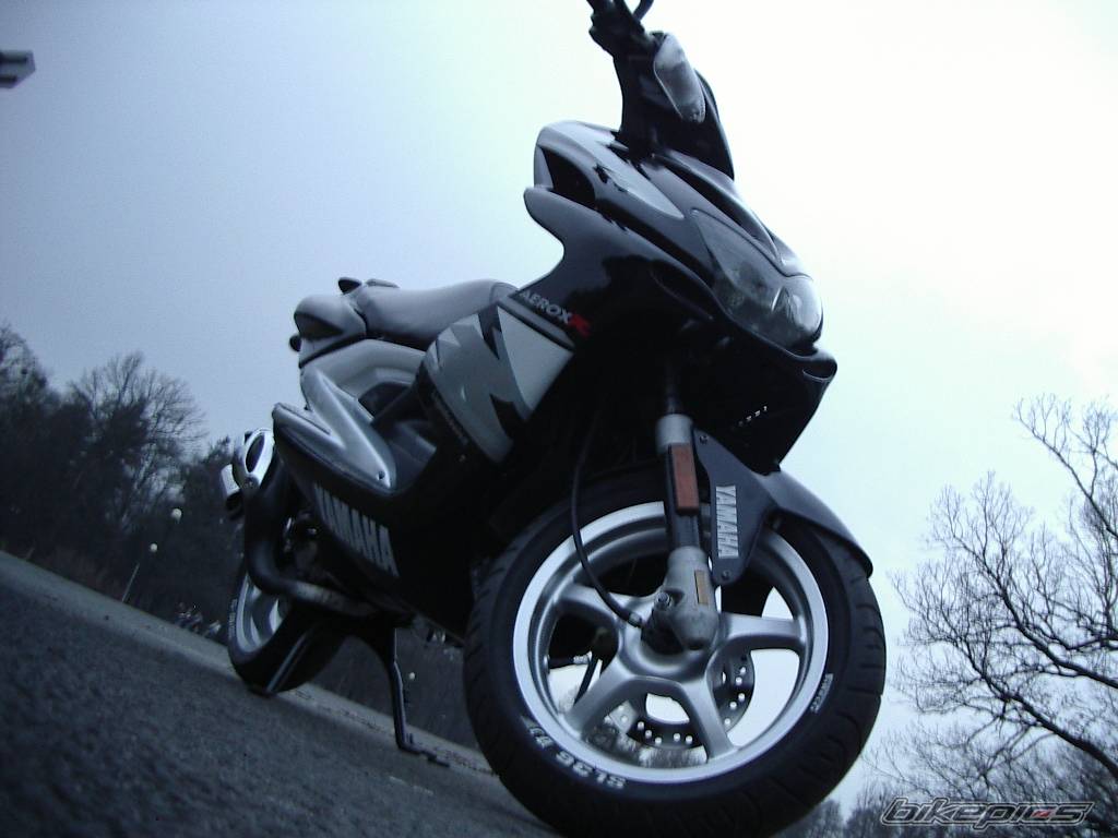 Photo 564503