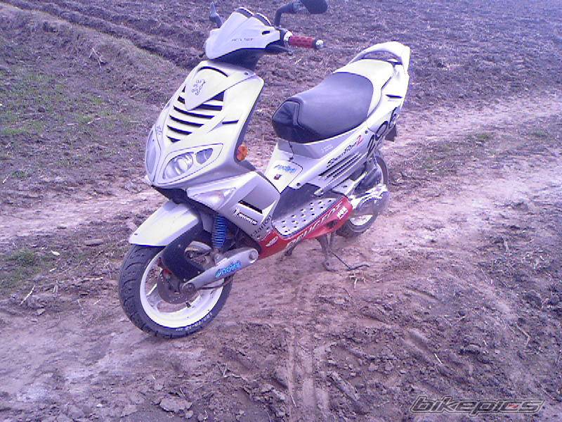 Photo 564679