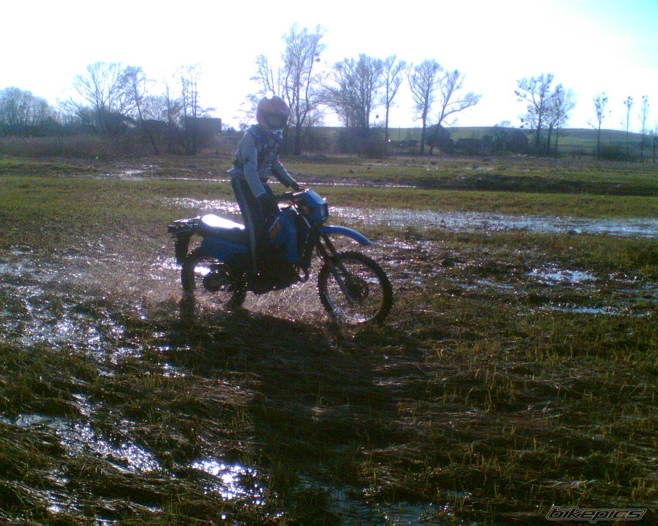 Bike Photo 564733