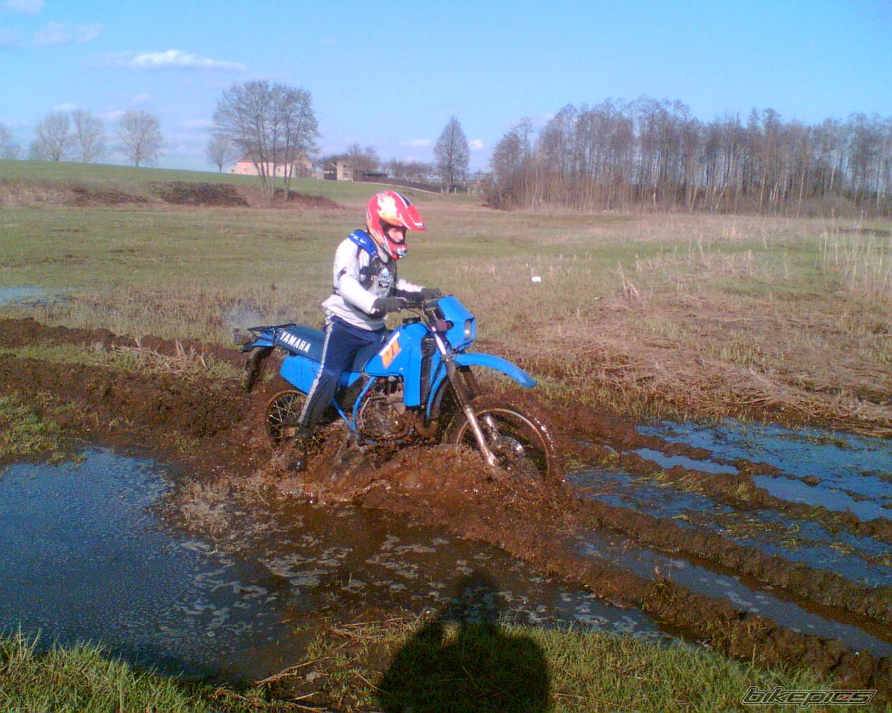 Bike Photo 564738