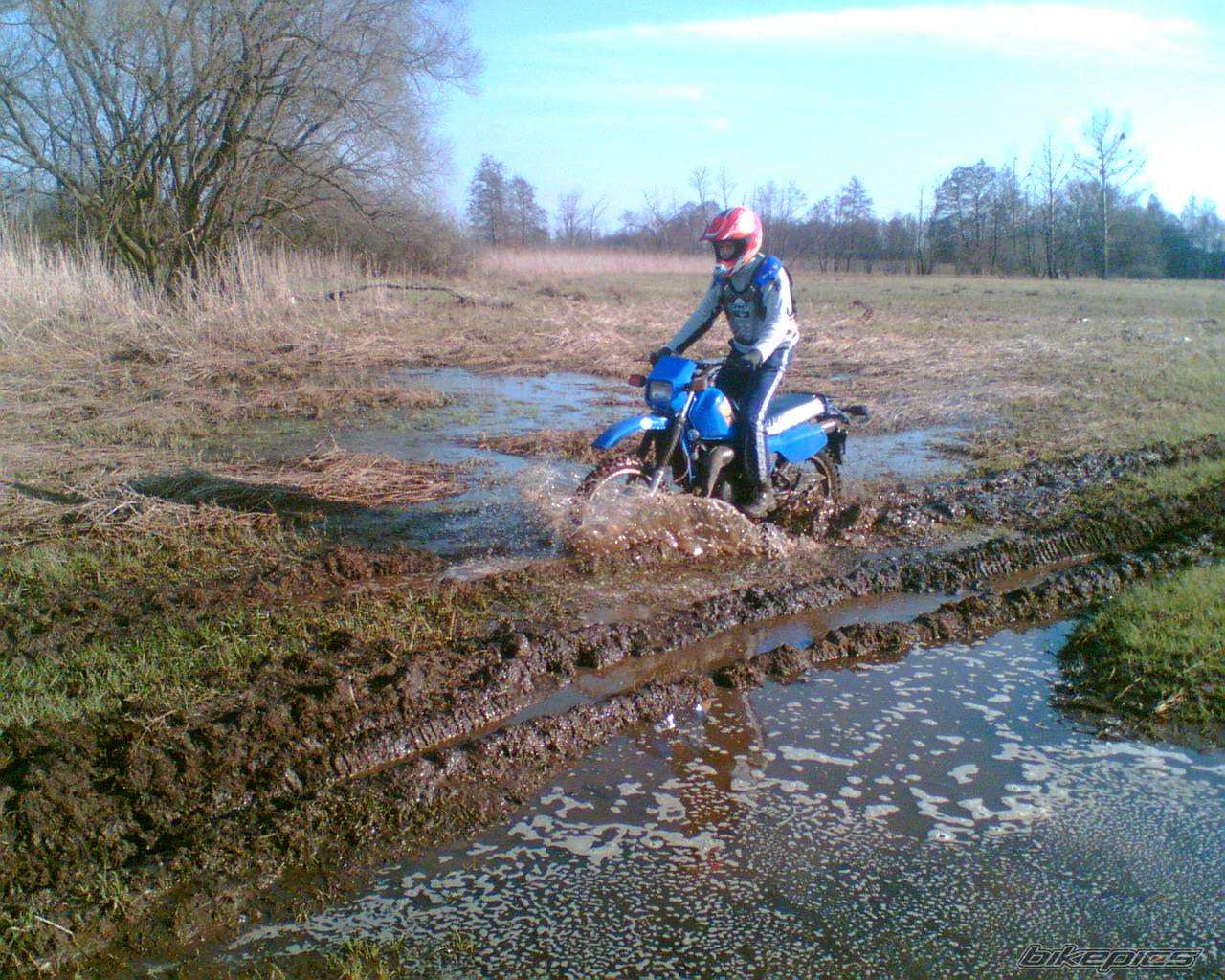 Bike Photo 564740