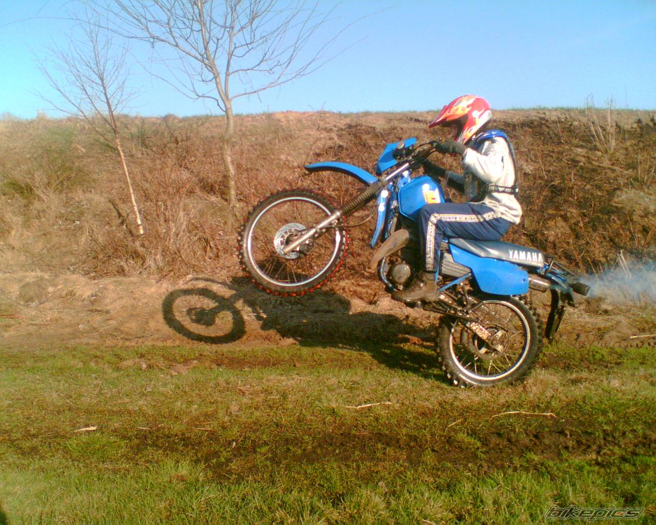 Bike Photo 564745