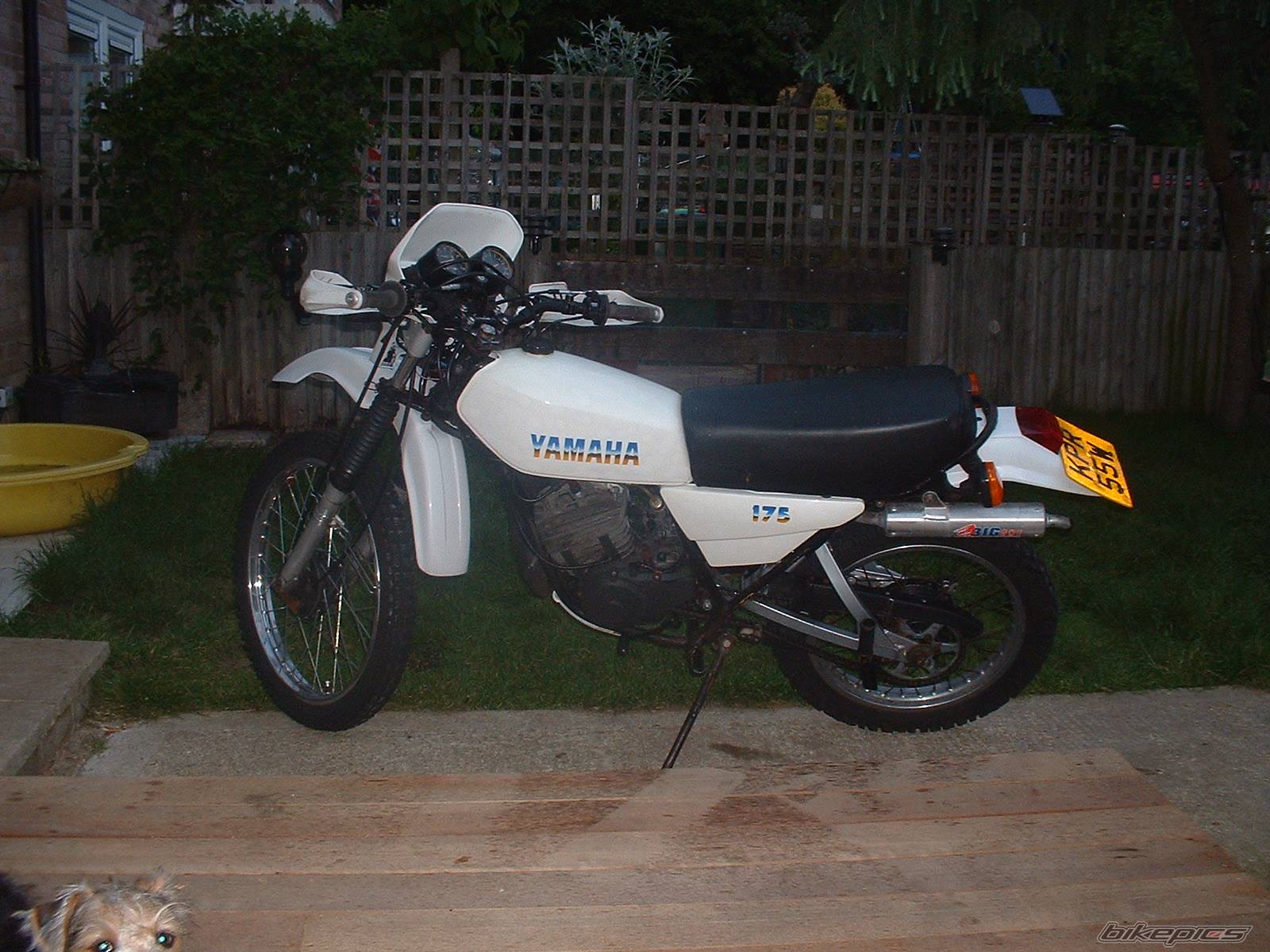 Bike Photo 564780
